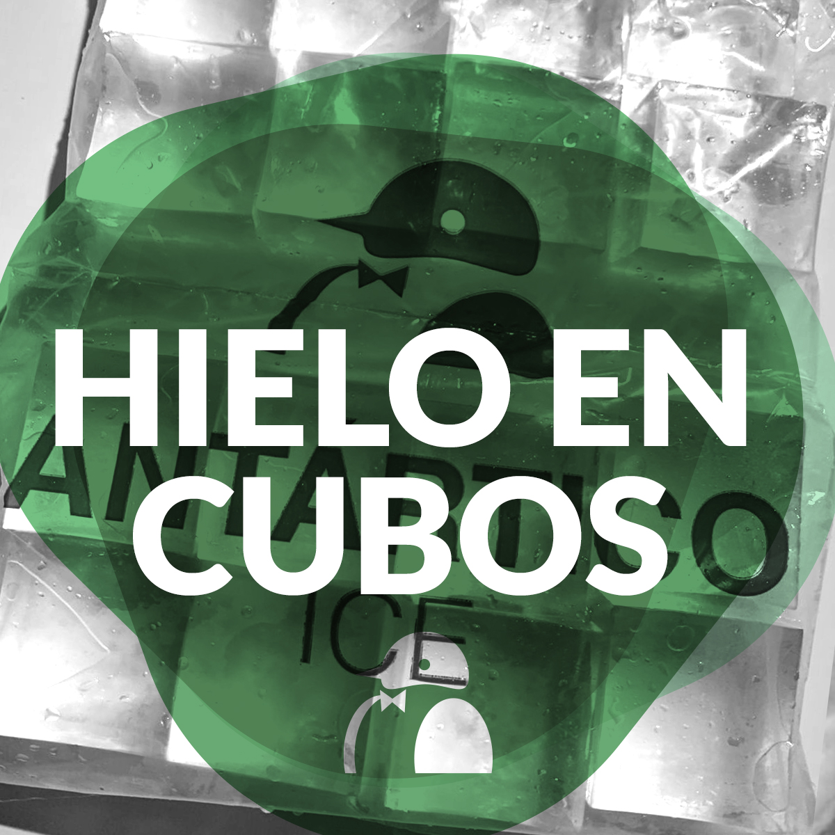bolsas de hielo de 15 kg.